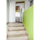 Suite Primer Piso