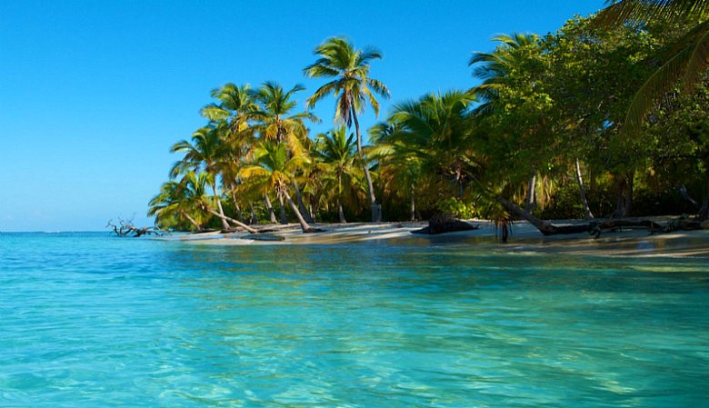 morrocoy