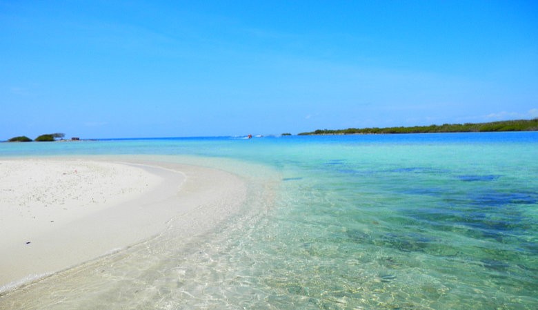 morrocoy